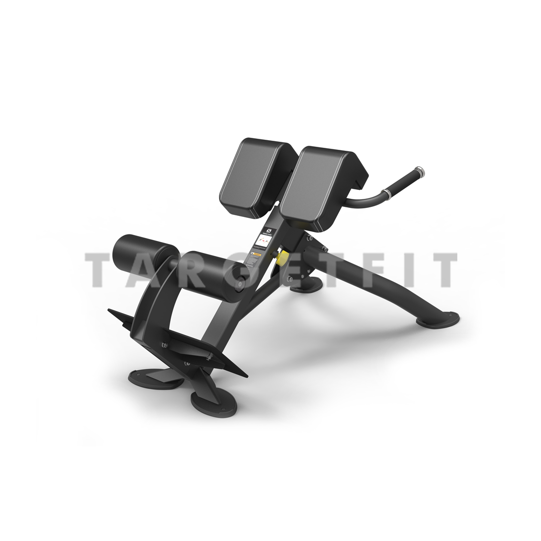 Back Extension Spirit SP-4220