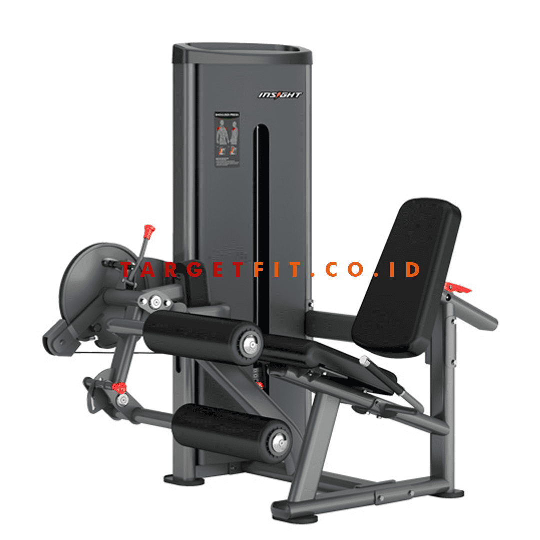 Insight Leg Curl and Extension DA025