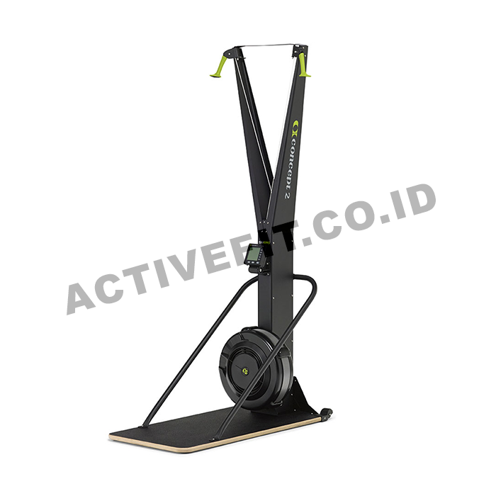 Concept 2 SkiERG with Floor Stand & PM5 Monitor
