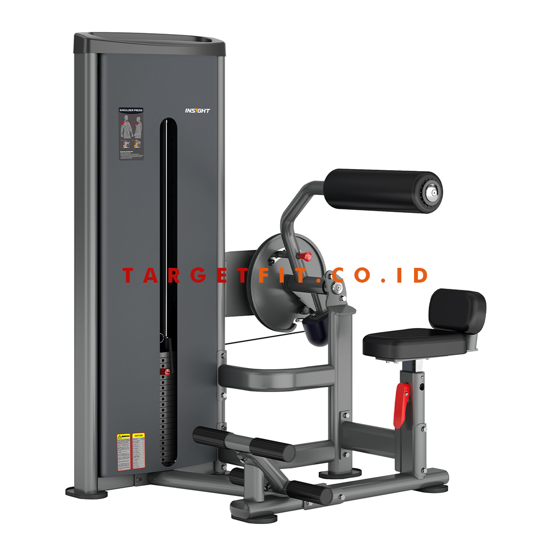 Insight Abdominal and Back Extension DA009