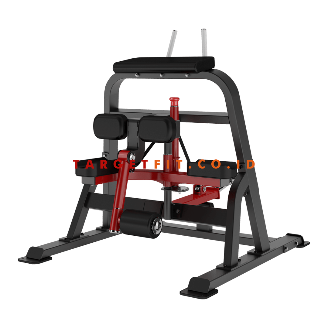 Insight Standing Leg Curl DH018
